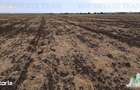 Oferim spre vanzare 6 loturi de teren extravilan (agricol) in Petrachi