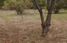 Loc intravilan de vanzare - 1