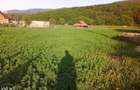 Teren 1381 mp intravilan Cristian jud Brasov - 2