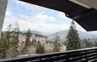 Apartament deosebit Sinaia/Furnica! - 1