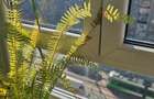 3 camere stradal Cranga?i BCR - 4