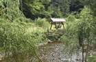 Cabana de inchiriat Valea Bratcutei - 8