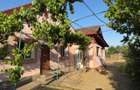 Casa cu gospodarie la Iecea Mare, aproape de Timisoara