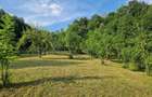 SUUPER OFERTA!!!Casa si teren Valea Tarsei,ideal pentru investitii !! - 5