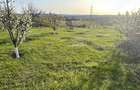 Teren intravilan 2000 mp Zona Dimitrie Cantemir toate utilitatile - 5