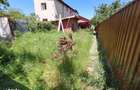 Casa 3 Camere | Voluntari | Dragonul Rosu - 6