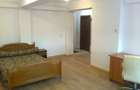 Proprietar apartament 1 camera Tatarasi - 7