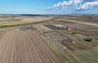 Refugiu la marginea padurii — 1000 mp de liniste in Cocani. - 9