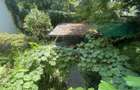 Apartament de 2 camere, Parc Cismigiu Pia?a Kogalniceanu - 4