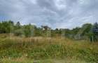 Teren intravilan 9.8 ari – Valea Rusului-Zona Pensiunea Morariu - 1