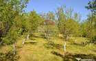 Casa / Vila de vanzare Picior de Munte, Dambovita - Picior De Munte (Dambovita) - 1