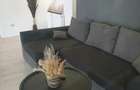 Apartament de inchiriat in vila - 4
