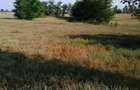 Teren intravilan 500 mp Comuna Bratovoiesti sat Prunet( Sta?iunea Victoria) jud Dol - 1