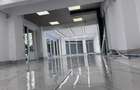 Spatiu comercial de inchiriat nufaru