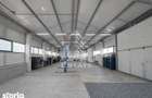 Hala de inchiriat Sacalaz, curte generoasa, show-room, service auto - 3