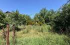 Teren 5341 mp acces dublu Prelungirea Ghencea - 9