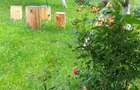 Vila case de vanzare in comarnic - 15