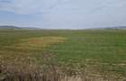 Teren intravilan de vanzare 3300 mp, Le?ile - 2