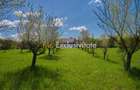 Casa Valea Mare Pravat (Campulung-Arges ) - farmec interbelic - 4