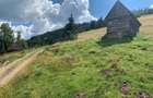 Vand teren comuna Horea - 1