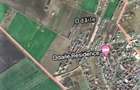 Teren extravilan de vanzare 3400 mp ODAI OTOPENI 7 - 4