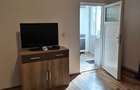 Apartament 1 camera de vanzare Timisoara, Iosefin - 4