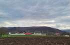 5400 mp intravilan construibil, 30m deschidere, Curent la teren, CU eliberat, Bucovina Mica Iasi - 1