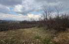 Teren de vanzare in sat Badeni, in suprafata de 1334 mp - 4