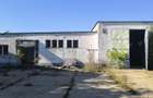 Se inchiriaza hala industriala C2, Salonta, jud. Bihor. - 18