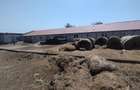 Fermă colectare și îngrașare animale judet Constanta - 1