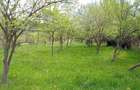 Vand teren intravilan - 5