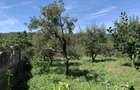 Livada 1100 mp in intravilan, de vanzare Comuna Bote?ti, Jude?ul Arge? - 7
