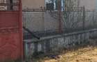 Vand urgent casa in comuna Seleu?.Pret.80000 euro Negociabil - 5