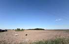 Teren 3.500 mp Gradistea Ilfov | 2.857 mp intravilan | Asfalt | 129.000 - 2