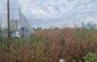 Inchiriez Teren 2500 mp pe Drumul Lunca Dochiei 23 - 25, sector 3 - 3