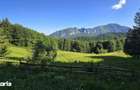 Teren Poiana Secuilor -Predeal - 3