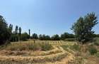 Teren intravilan + casa de vanzare - 4