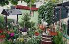 Apartament la curte 2 camere, 77 mp, Centru Istoric - 1