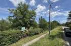 Teren intravilan 14.5 ari Viile Satu Mare - 1