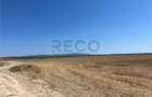 RECO Teren extravilan Ucuris- Olcea 44 000 mp - 6