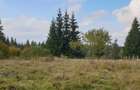 Vand teren intravilan in Belis - 1
