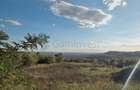 Teren panoramic pe dealul Doja, Oradea, Bihor