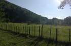 Vand casa ?i teren 2500 mp la munte in Valea Uzului. - 4