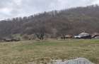 Teren de 1795 mp, în Remeți - 4