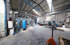 Spațiu industrial, de 1,532 mp, în Cărpiniș - 26
