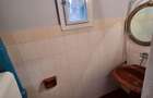 Apartament cu 1 camera de vanzare Zona Iosefin - 5
