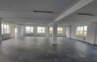 Proprietate specială, de 600 mp, în Giurgiului - 4