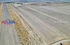 Teren agricol extravilan de 47200 mp, în Căteasca - 9