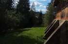 Cabana de vacan?a in Bucovina - 1