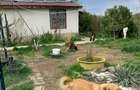 Casă cu 5 camere în Clinceni - 3